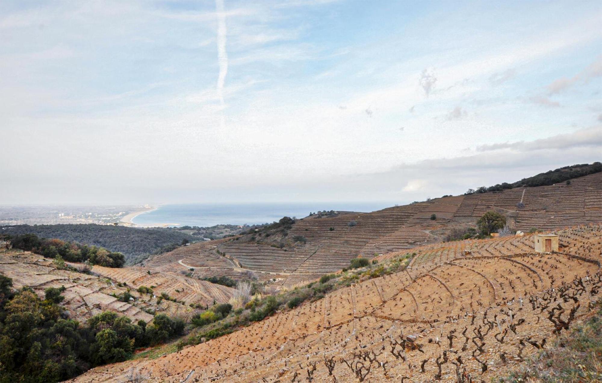 2 Bedroom Amazing In Collioure